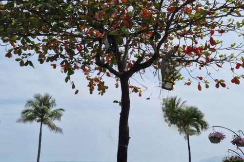 Nha Trang, một chiều tháng 6