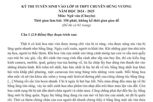 Gợi ý đáp án môn Ngữ văn (chuyên Văn) vào lớp 10 Trường THPT Chuyên Hùng Vương