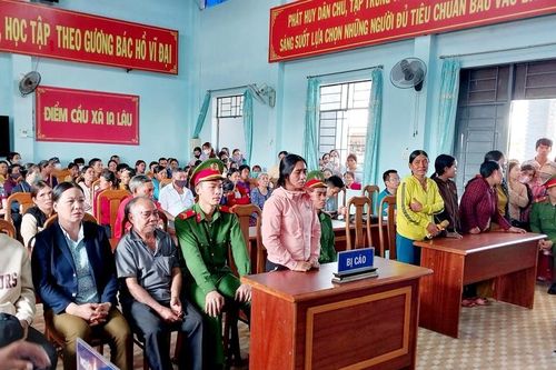Mũi dại lái chịu đòn!