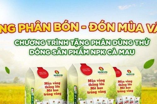 Phân Bón Cà Mau đồng hành cùng nông dân Việt Nam: Tặng phân bón, đón mùa vàng
