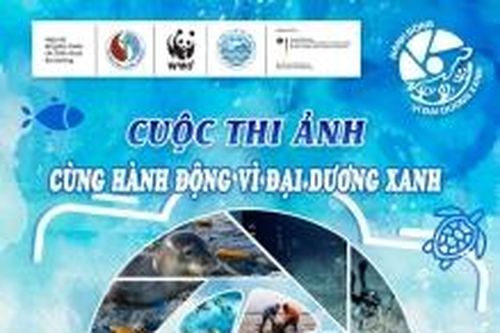 Phát động cuộc thi ảnh 'Cùng hành động vì đại dương xanh'