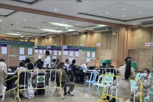 Bầu cử Thượng viện Thái Lan: Trên 50% ứng cử viên vượt qua vòng một