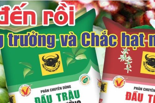 Tp.HCM: Công ty Phân bón Bình Điền bị phạt và truy thu thuế