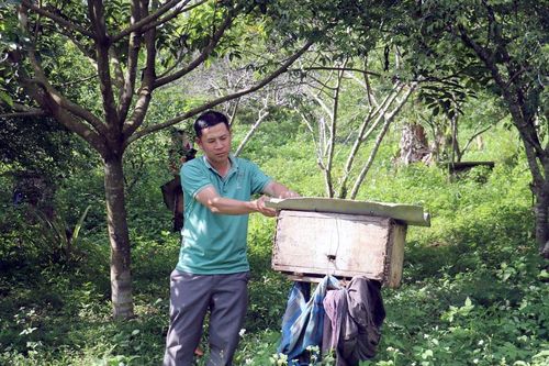Đảng viên trẻ gương mẫu, đi đầu