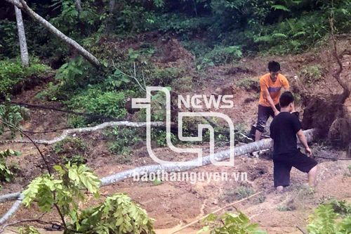 Võ Nhai: Mưa lớn kéo dài gây thiệt hại hơn 2,6 tỷ đồng