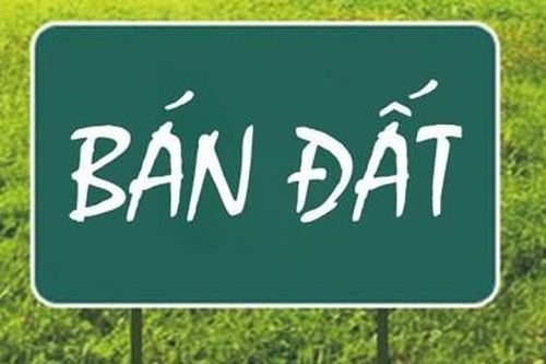 Cần bán đất