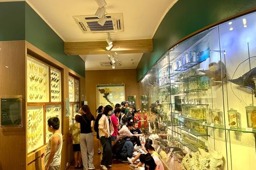 Bảo tàng đua hút khách mùa Hè