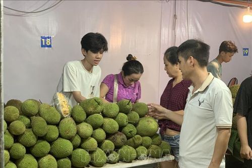 Khai mạc Lễ hội mùa trái chín 'Lái Thiêu mùa hẹn'