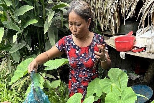 Người phụ nữ bị bắt vì mua bán, tàng trữ chồn bay