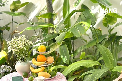 The Bloom Garden - khu vườn hoa nở