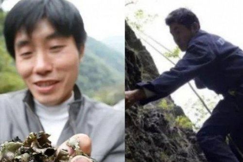 Liều mạng cheo leo vách núi săn 'lộc trời' mọc từ đá: Chờ 30 năm mới hái được, giá 2,6 triệu/kg