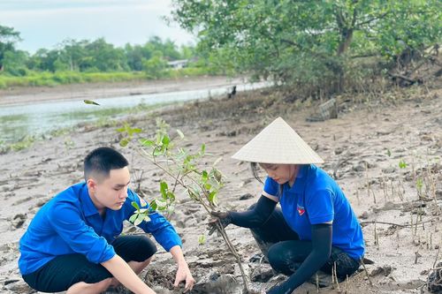 Phát động cuộc thi 'Dấu ấn 25 năm Chiến dịch thanh niên tình nguyện hè'