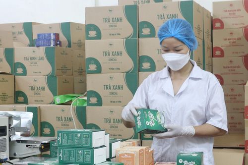 Thanh Thủy phát triển sản phẩm OCOP