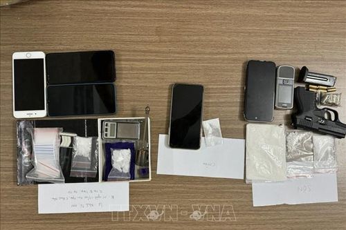 Triệt xóa đường dây mua bán ma túy tổng hợp