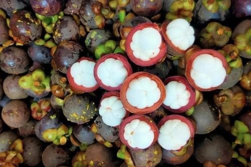 Những đại kỵ khi ăn măng cụt mà bạn cần biết