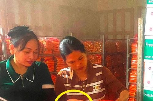 Chị nông dân nhẹ nhàng bỏ túi 50 tỷ nhờ chăm chỉ 'xắn tay chỉ việc'