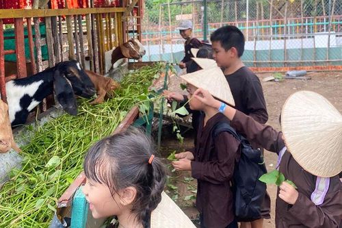 Những ngày hè bổ ích