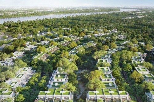 Không gian sống tại nơi có mật độ mảng xanh gấp 3 lần tiêu chuẩn Liên Hợp Quốc