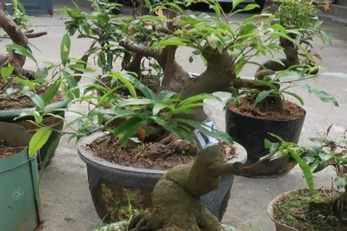 Tìm chủ sở hữu