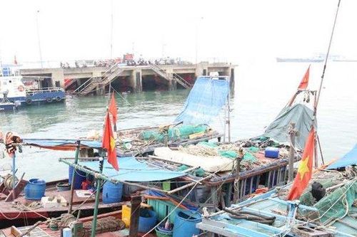 Quảng Ninh: Xử lý 49 tàu, thuyền vi phạm trên vịnh Hạ Long