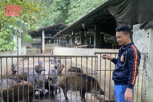 Bảo tồn, phát triển giống cây trồng, vật nuôi nguồn gốc bản địa
