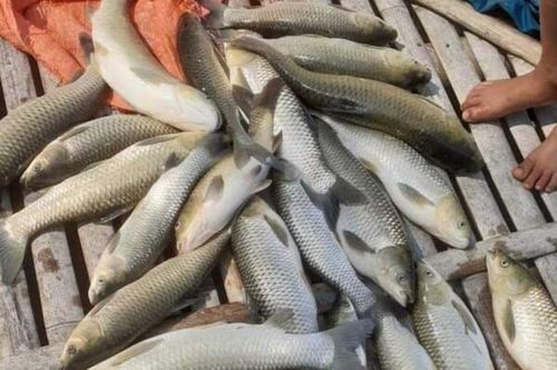 Thanh Hóa: Tăng cường các biện pháp phòng, chống ô nhiễm môi trường, nguồn nước dọc sông Mã
