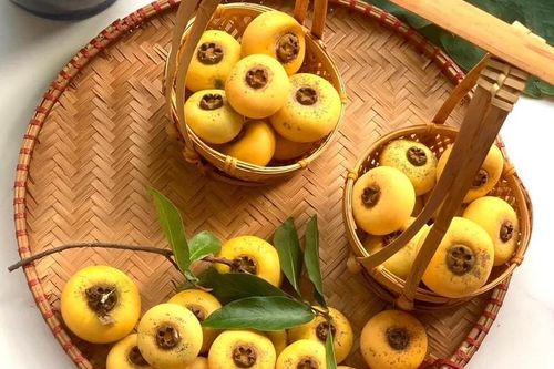 Thị sáp từ quê lên phố 15.000 đồng/quả vẫn 'cháy hàng'