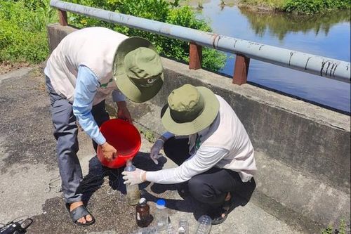 Cá chết bất thường, rà soát các cơ sở sản xuất ở khu kinh tế Chân Mây - Lăng Cô