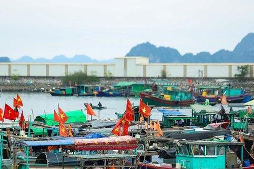 Đến năm 2030, đảm bảo 2,98 tấn thủy sản được thông qua cảng cá mỗi năm