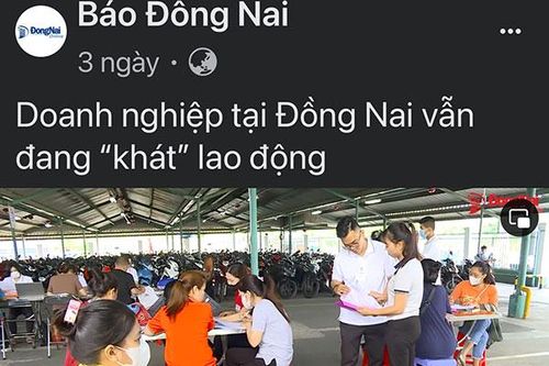 Thông tin về xây dựng chính quyền thân thiện, lao động việc làm được bạn đọc quan tâm
