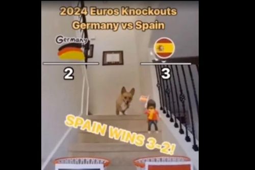 Chó Corgi dự đoán Tây Ban Nha thắng ngược Đức 3-2