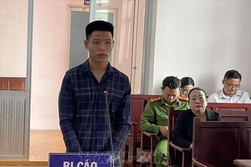 Tòa án nhân dân tỉnh Bạc Liêu xét xử trực tuyến rút kinh nghiệm vụ án hình sự