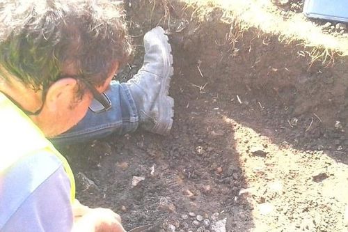 Ngư dân đào được kho báu trị giá 6,7 tỷ đồng trên ruộng