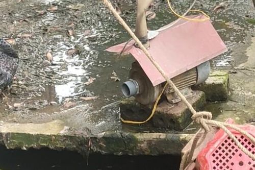 Thanh Hóa: Huyện Bá Thước chỉ đạo công tác quản lý chăn nuôi sau khi có phản ánh từ báo chí
