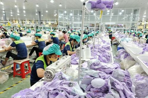 Thái Bình: Cấp gần 600 giấy chứng nhận đăng ký doanh nghiệp với tổng vốn hơn 5.800 tỷ đồng