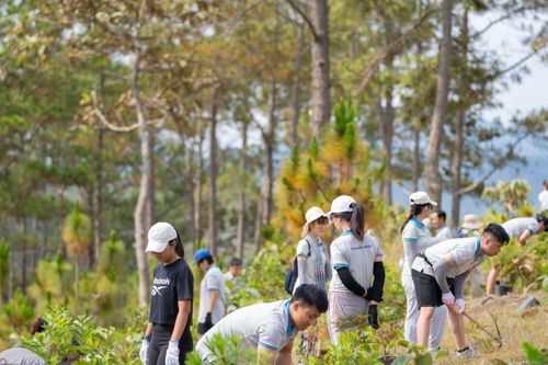 Lâm Đồng: Tà Năng Mini Trail 2024 - Sự kiện thể thao vì môi trường
