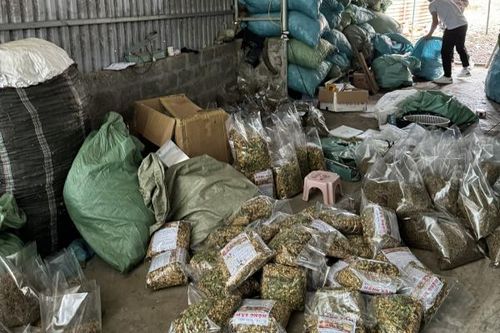 Thuê chung cư, bán 'thần dược đàn ông' giả trên mạng xã hội