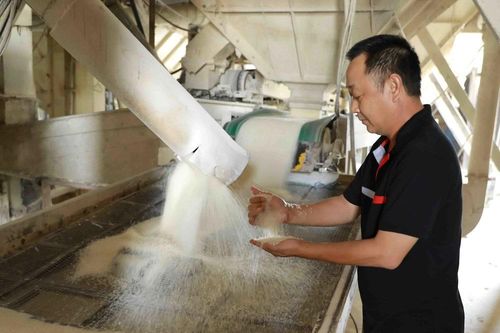 Sản phẩm từ bột mỳ Việt Nam đã vượt qua kỳ sát hạch xuất khẩu vào Đài Loan