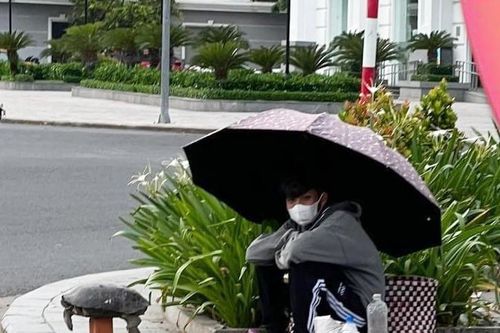 Nhiều cá thể rùa bày bán sai quy định trên tuyến phố TP Tuy Hòa