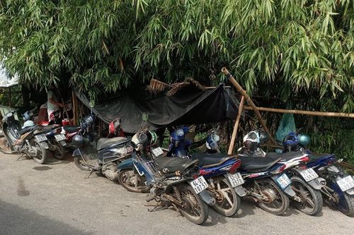 Bắt quả tang nhóm đối tượng tổ chức 'đánh bạc trái phép' trong lùm tre