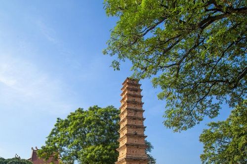 Quy hoạch bảo quản, tu bổ, phục hồi Di tích lịch sử và kiến trúc - nghệ thuật quốc gia đặc biệt tháp Bình Sơn