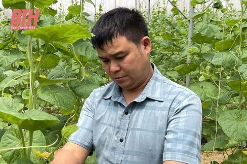 Đảng viên Lê Văn Thanh làm kinh tế giỏi