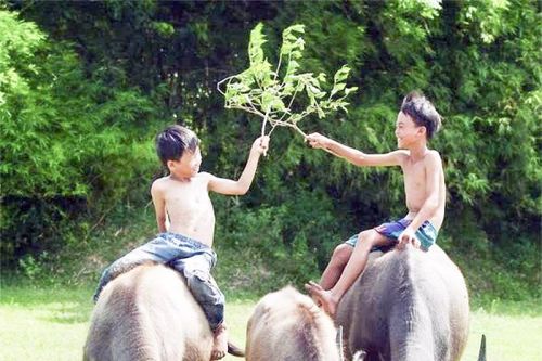 Kí ức tháng Bảy