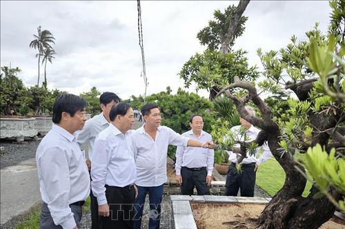 Thu hút du khách đến với vùng đất '4 mùa sung túc, đất lành chim đậu'
