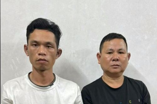 Hai người nước ngoài sang Việt Nam gây hàng loạt vụ đột nhập trộm cắp tài sản