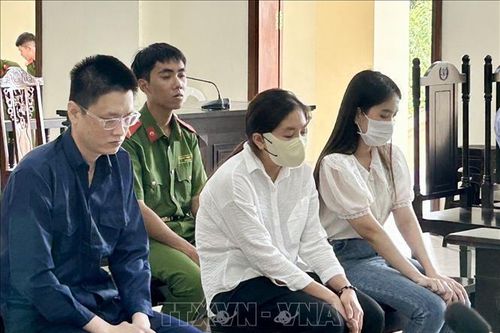 Xét xử vụ án ở Bệnh viện Đa khoa TP Cần Thơ: Tòa trả hồ sơ để làm rõ dòng tiền liên quan Công ty Việt Á