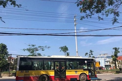 Phạt xe buýt Hải Vân do dùng xe hết niên hạn chở khách