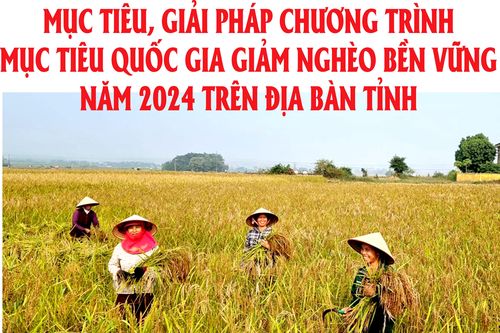 Mục tiêu, giải pháp Chương trình mục tiêu Quốc gia giảm nghèo bền vững năm 2024 trên địa bàn tỉnh