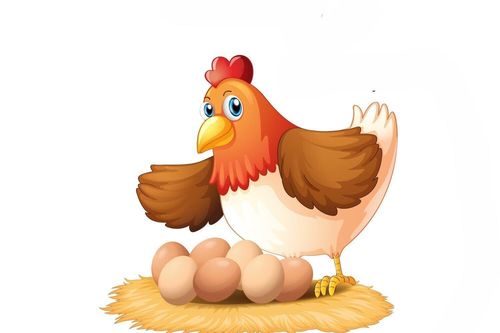 Câu đố gà đẻ trứng của học sinh tiểu học nhưng 9/10 người lớn trả lời sai