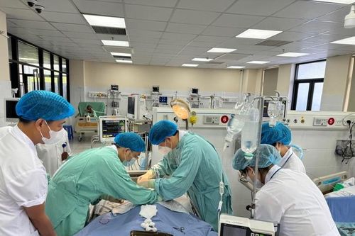 Người đàn ông bị uốn ván nguy kịch vì cọc tre đâm vào tay
